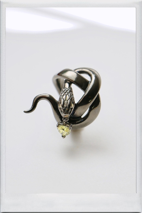 Le serpent noir