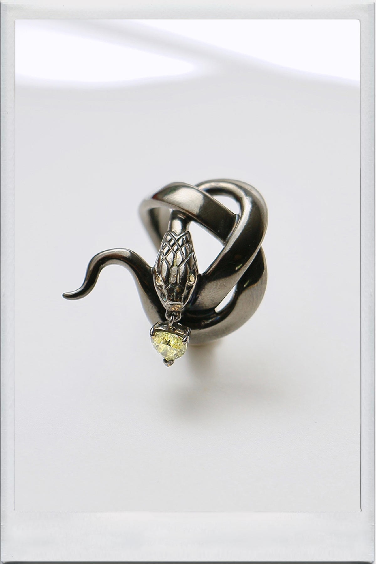 Le serpent noir